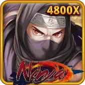 Ninja thumbnail
